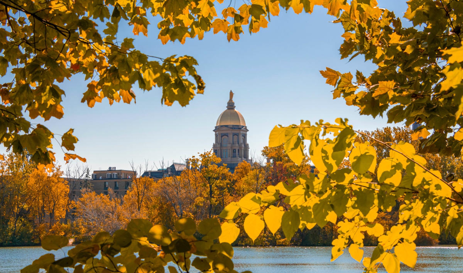Fall trees and lake